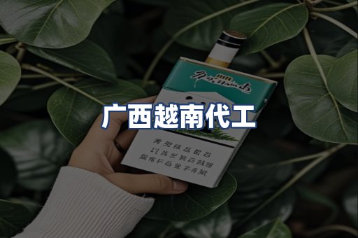广西越南代工